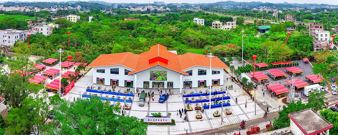 1736212017121547.jpg DJ20241215011.jpg